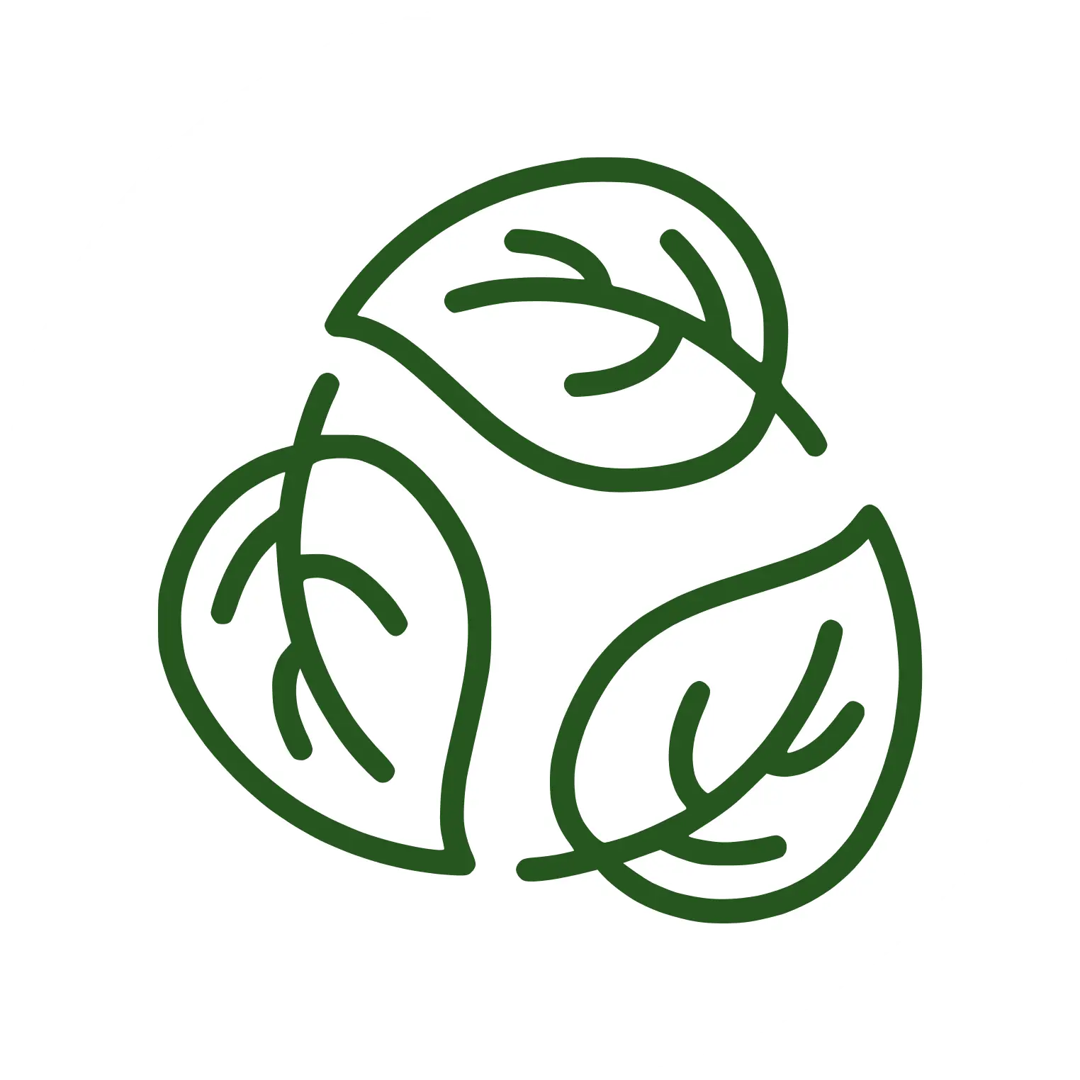 Eco