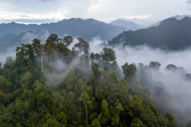 Peru-Rainy