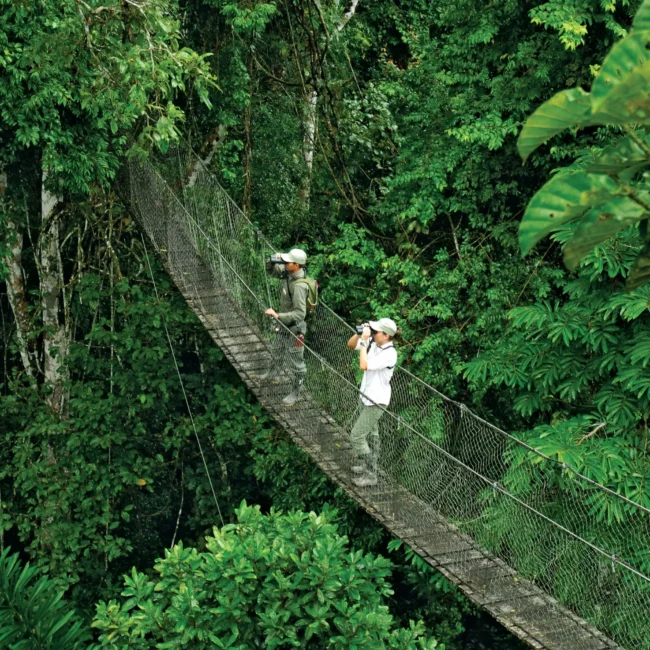amazon tours